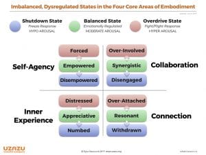 Imbalanced Dysregulated States In The Four Core Areas Of Embodiment 300x225