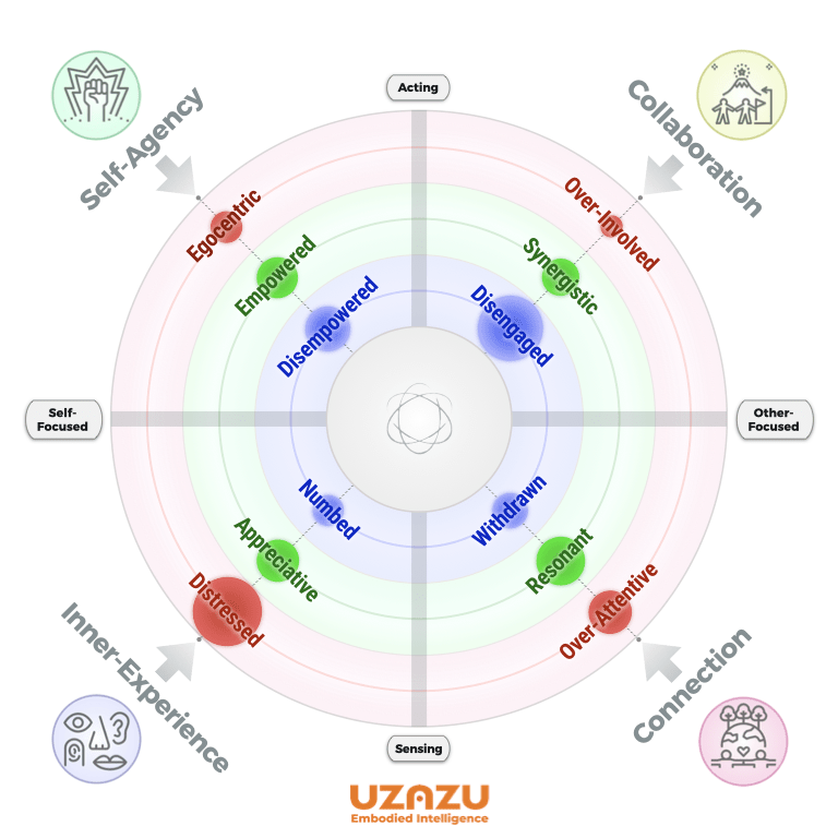 UZAZU Assessment Map Example - Imbalances X.titles